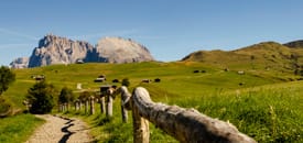 Seiser Alm PLAZA Seiser Alm PLAZA