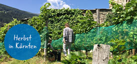 Regionaler Genuss im Herbst Regionaler Genuss im Herbst