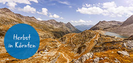 Wandern am Gletscher Wandern am Gletscher