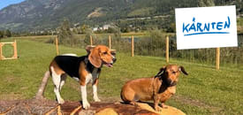 Urlaub mit Hund im Riverside